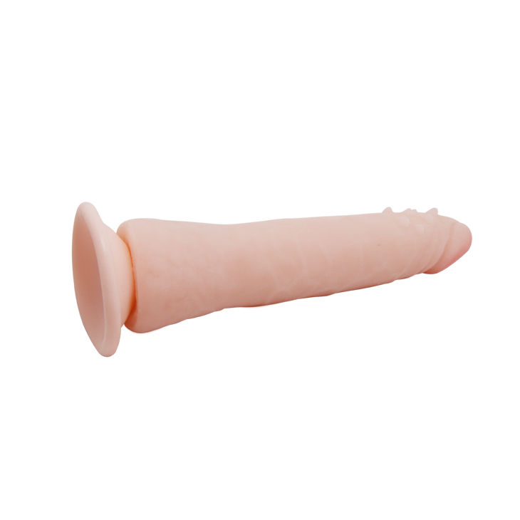 BAILE - FIT REALISTIC TPR VERTEBRATE 20.1 CM - Bild 3