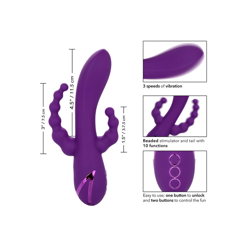 CALEXOTICS - LONG BEACH BOOTYLICIOUS PURPLE - Bild 7