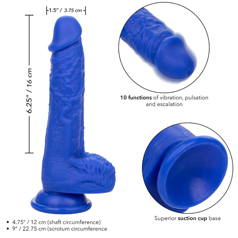 CALEXOTICS - ADMIRAL SAILOR REALISTIC DILDO VIBRATOR BLUE - Bild 4