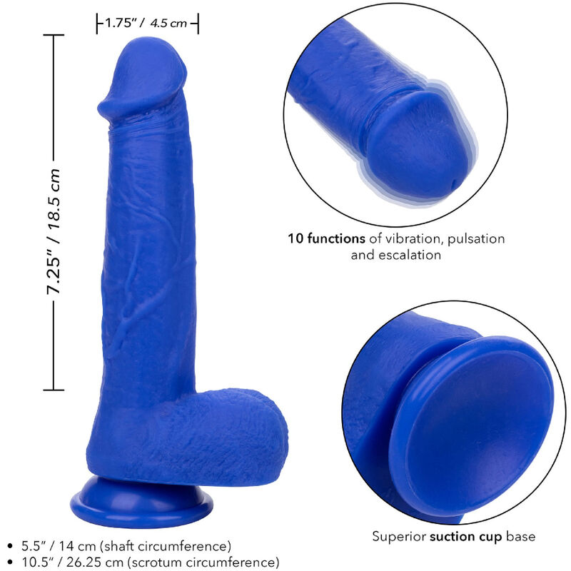 CALEXOTICS - ADMIRAL CAPTAIN REALISTIC DILDO VIBRATOR BLUE - Bild 4