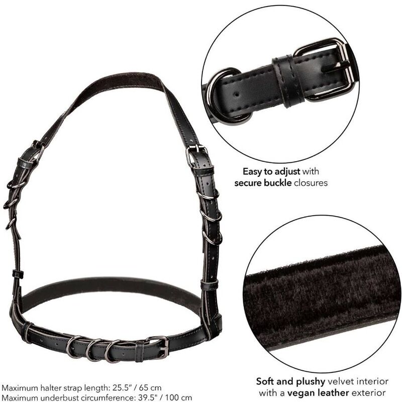 CALEXOTICS - EUPHORIA HALTER BUCKLE HARNESS BLACK - Bild 3
