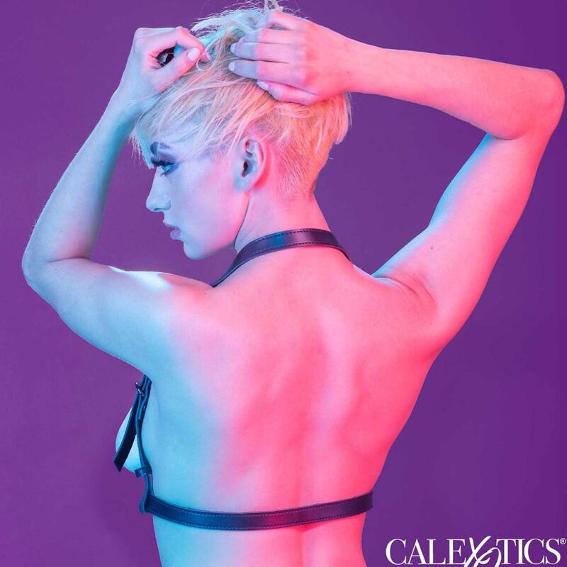 CALEXOTICS - EUPHORIA HALTER BUCKLE HARNESS BLACK - Bild 2