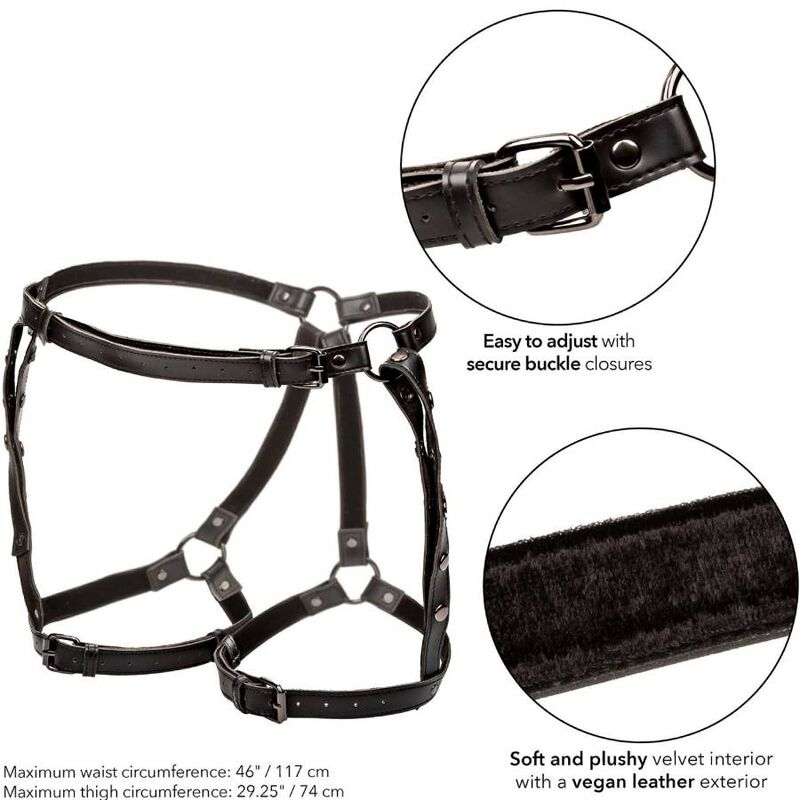CALEXOTICS - EUPHORIA PLUS SIZE RIDING THIGH HARNESS - Bild 2