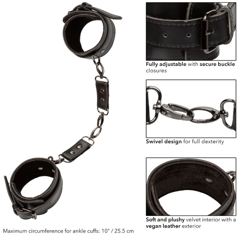 CALEXOTICS - EUPHORIA ANKLE CUFFS - Bild 5