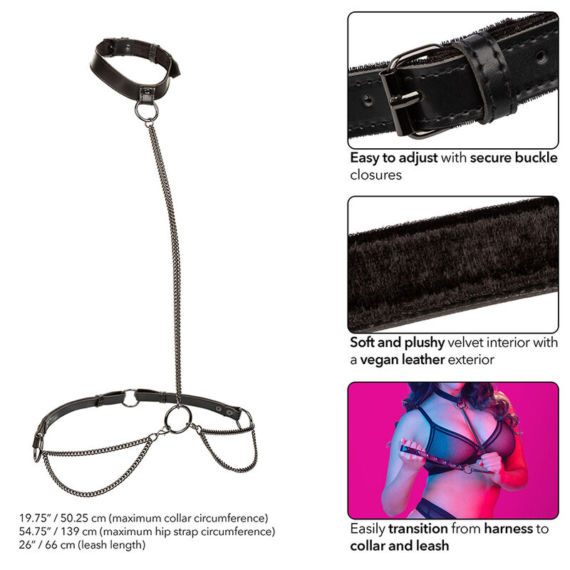 CALEXOTICS - EUPHORIA CHAIN HALTER COLLAR & LEASH PLUS SIZE - Bild 5