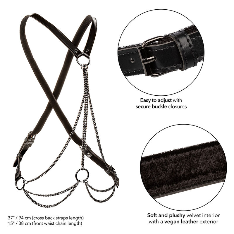 CALEXOTICS - EUPHORIA MULTICHAIN HARNESS PREMIUM - Bild 3