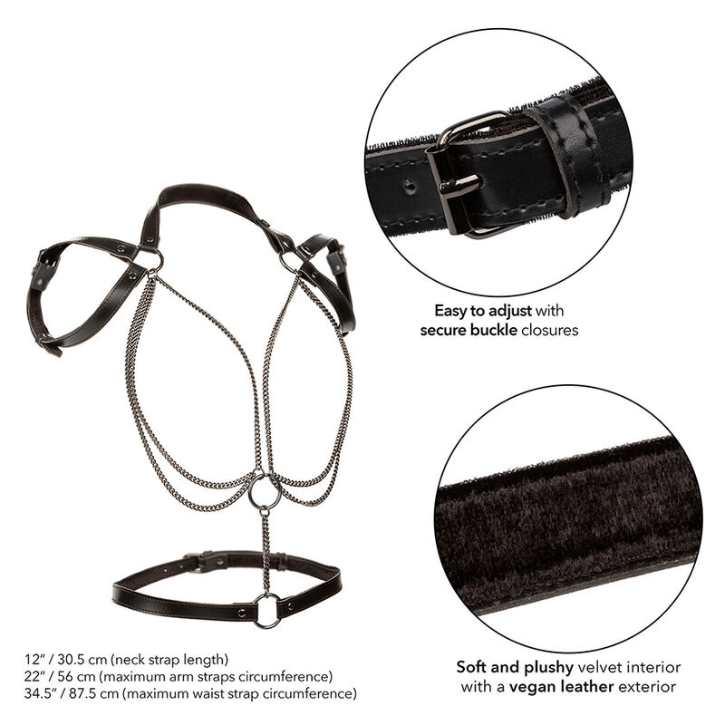 CALEXOTICS - EUPHORIA MULTICHAIN HALTER HARNESS PREMIUM - Bild 3