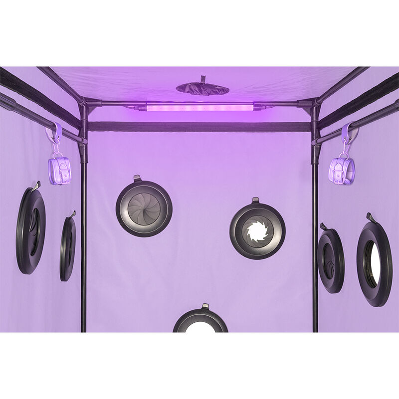 SECRET DOME - KINK CLUB CABIN SCANDALE PURPLE - Bild 8