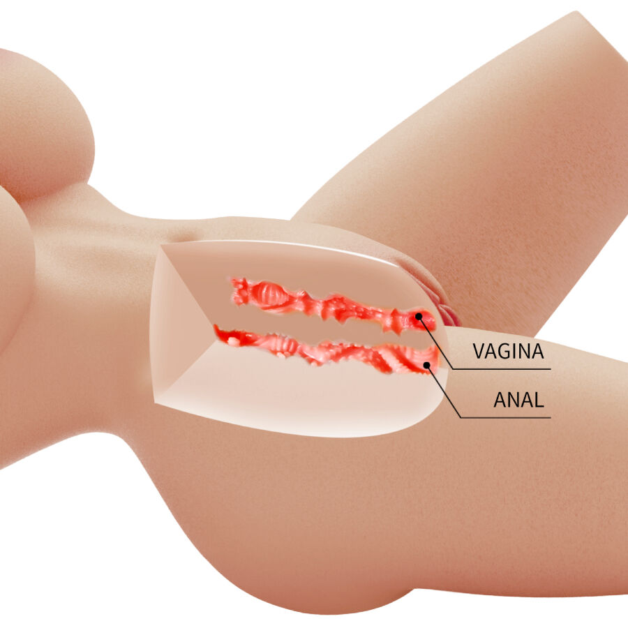 CRAZY BULL - LILY REALISTIC FEMALE TORSO VAGINA AND ANAL 4 KG - Bild 4