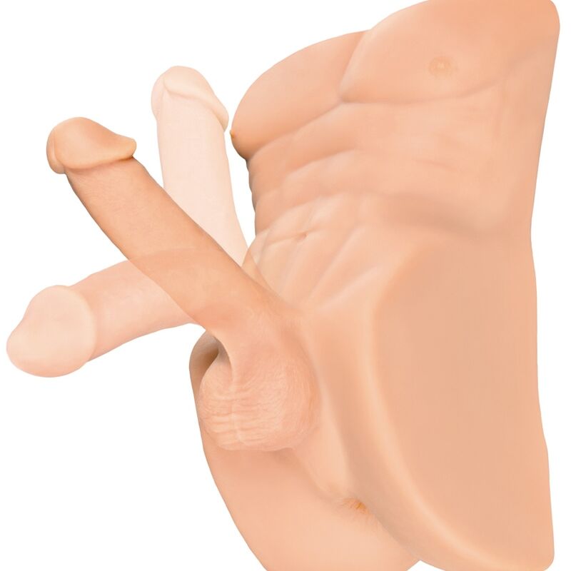 PDX PLUS - PERFECT RIDE MASTURBATOR PENIS AND ANUS - Bild 3