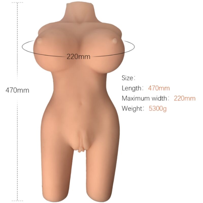 Alternative view of ARMONY - REALISTIC FEMALE TORSO MODEL 6