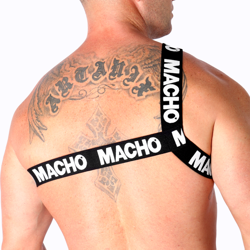 MACHO - ROMAN HARNESS YELLOW DIFFERENT SIZES AND COLOURS - Bild 3